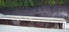Filename=Balcon_1er_5.jpg
Filesize=420KB
Dimensions=1024x486
Date added=Aug 17, 2006 Balcon_1er_5.jpg