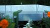 Filename=Bordure_6_ans_1.jpg
Filesize=469KB
Dimensions=1024x582
Date added=Sep 03, 2006 Bordure_6_ans_1.jpg