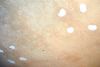 Filename=Plafond8.jpg
Filesize=976KB
Dimensions=1024x692
Date added=Aug 09, 2006 Plafond8.jpg